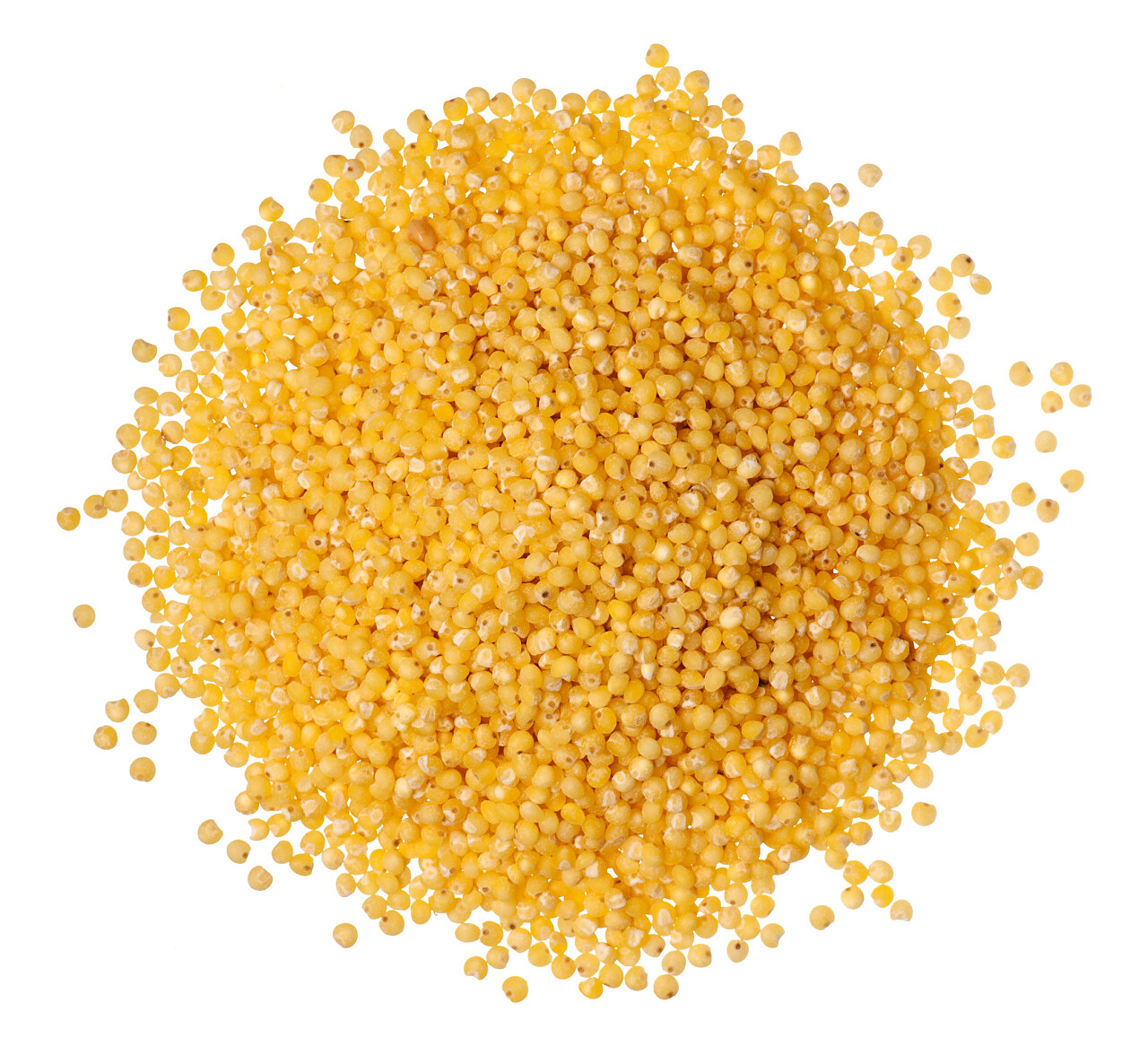 白底一堆谷子特写