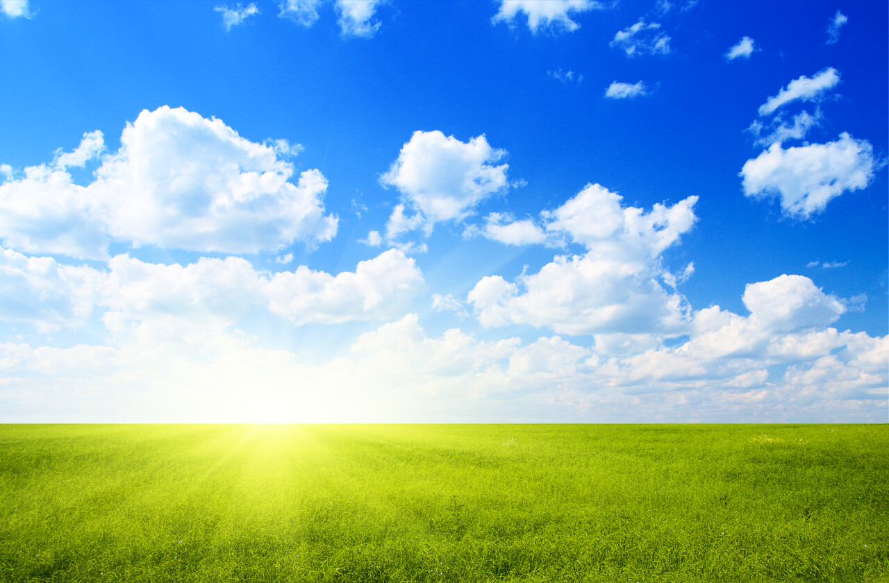 春天背景清新明亮自然风景春天蓝天白云阳光下一望无际广阔草地风景图