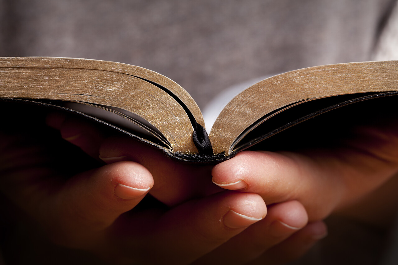 手托书本阅读翻开书本