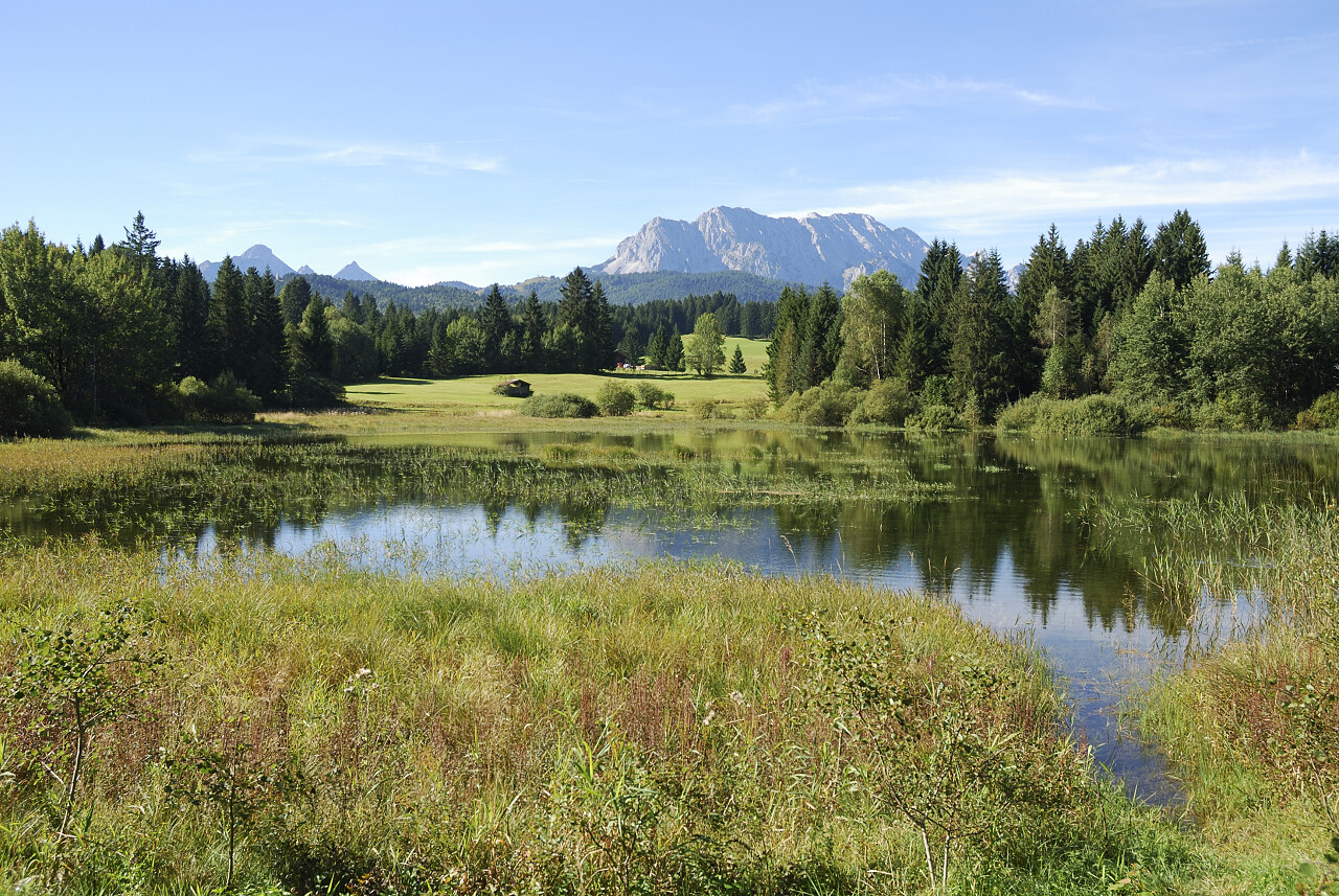 野外湖水树林高山风景景色湿地沼泽湿地日