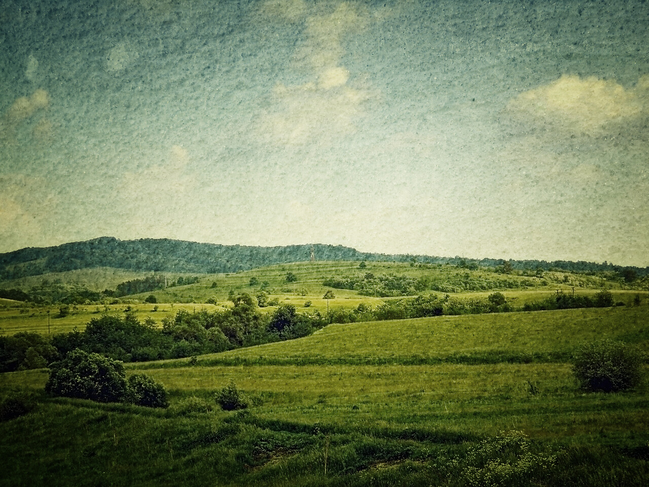 油画野外户外田野风光风景草地希望的田野