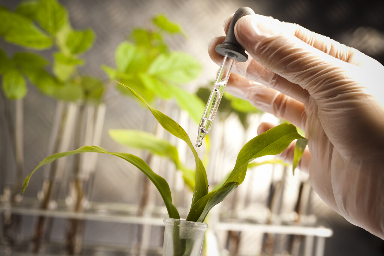 植物化学实验室特写图片
