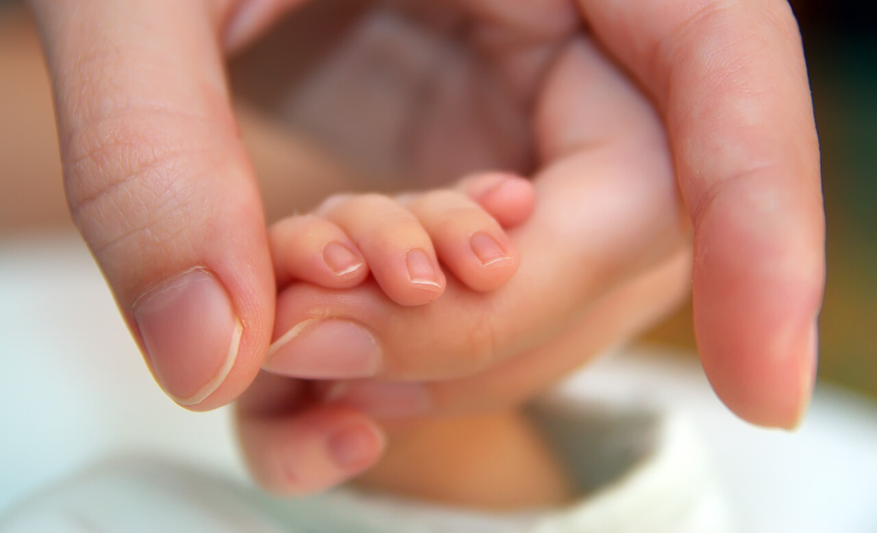 大手握着小宝宝的手照片