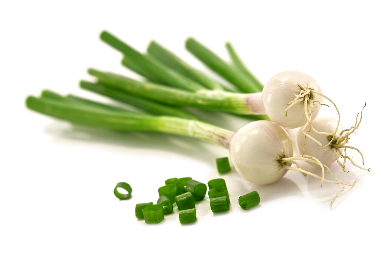 白底新鲜绿色大葱