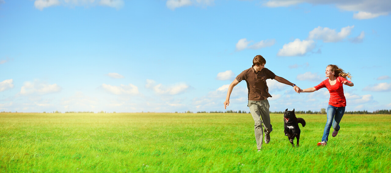 快乐的年轻恋人草地与绿草和蓝蓝的天空上的一条狗图片