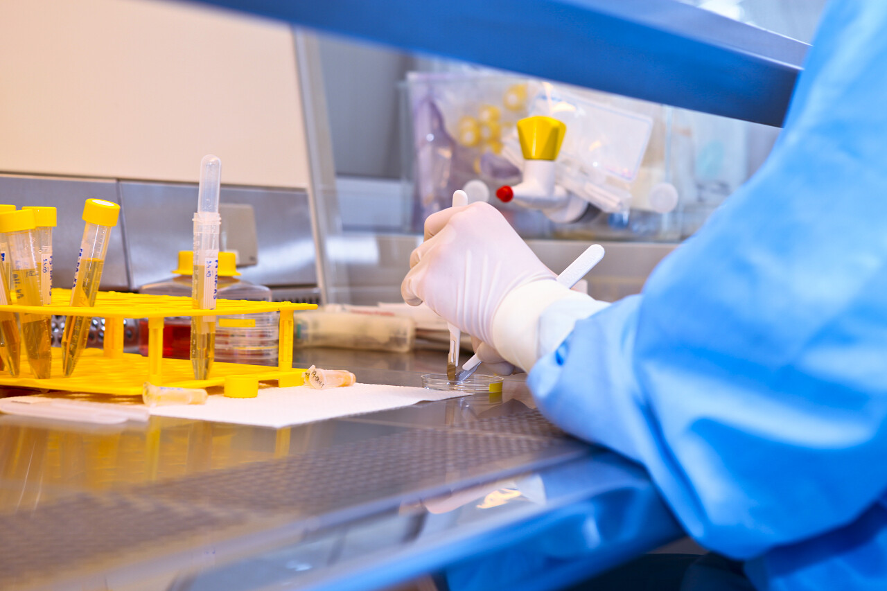 护士检查尿液样本的实验室