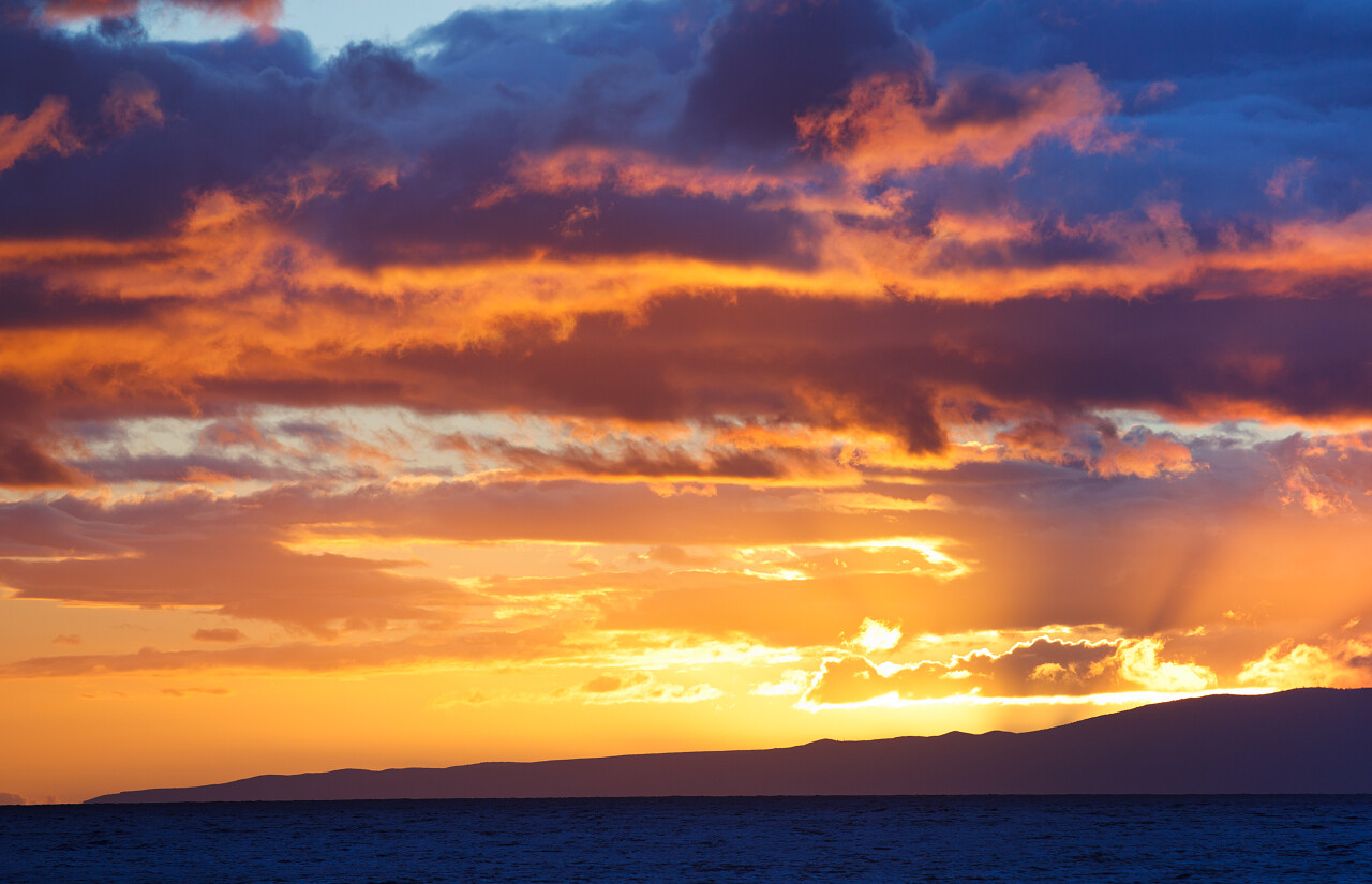 金晚霞世界气象日