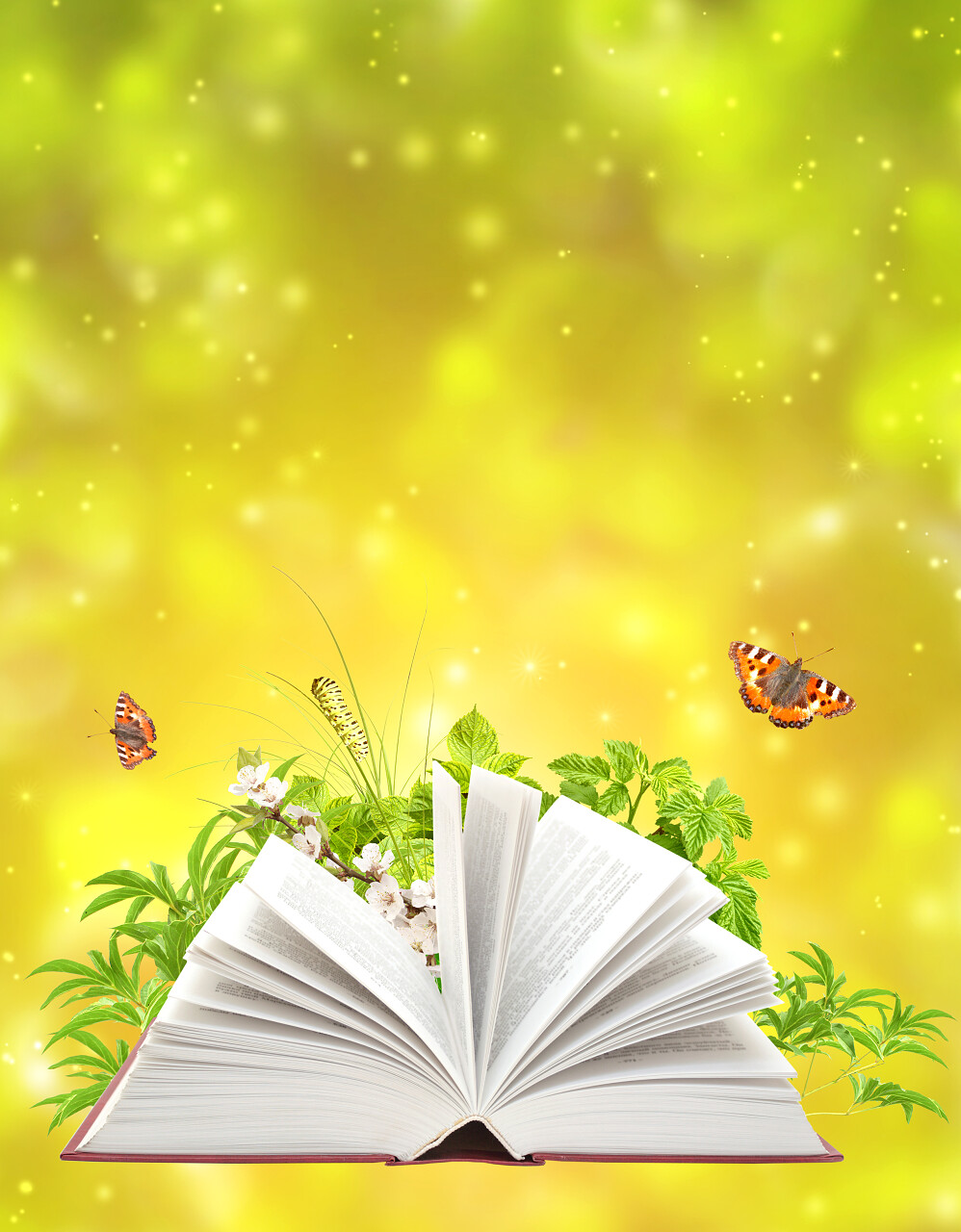 自然的绿色背景上的书读书分相会阅读世界读书日