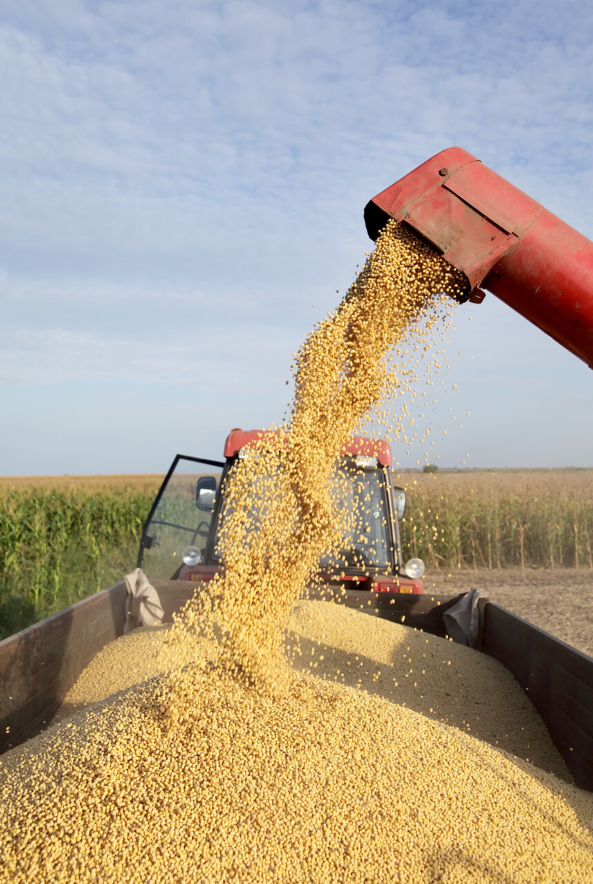 豆浆联合倒入牵引车的粮机