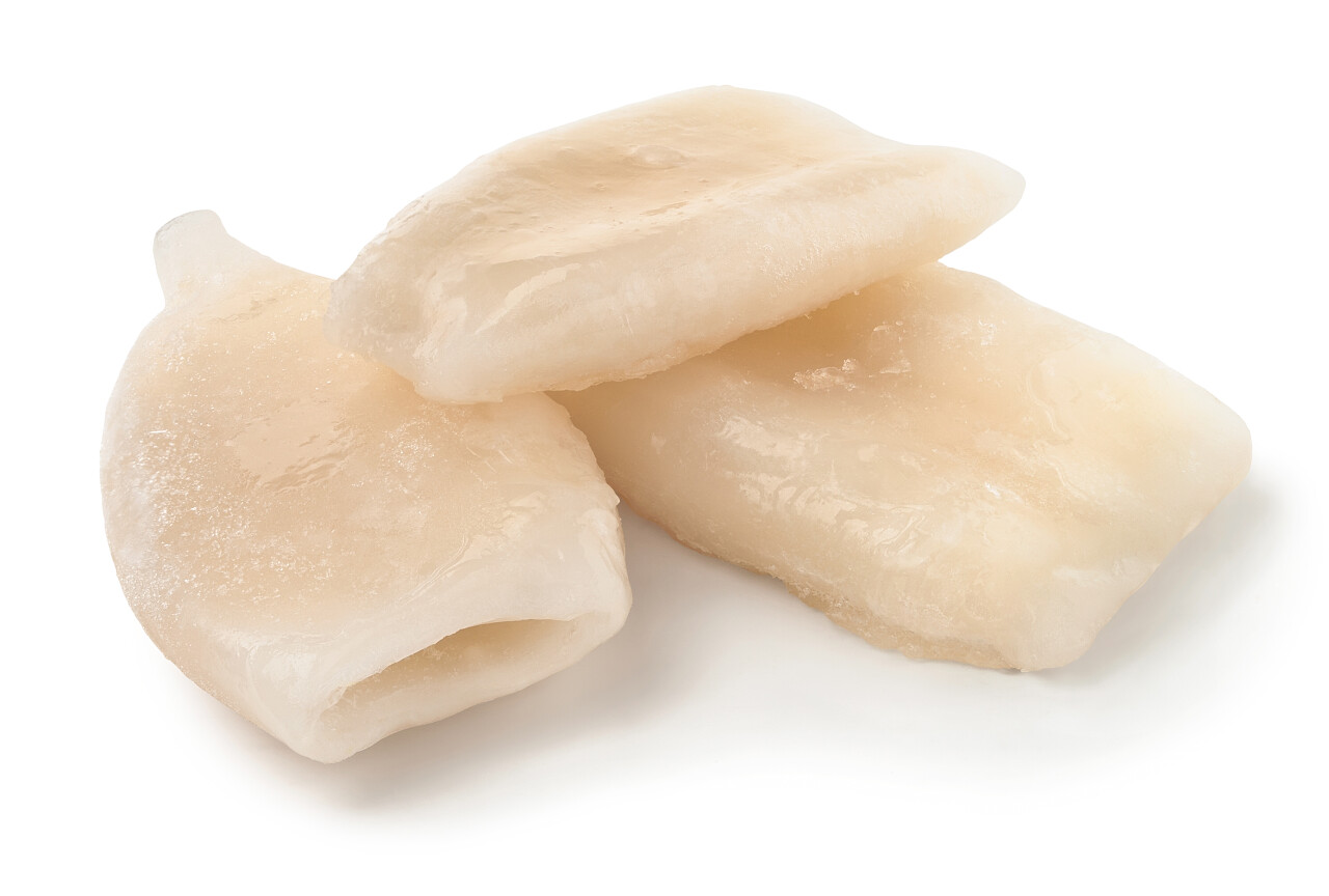 白色背景的三个冷冻的鱿鱼