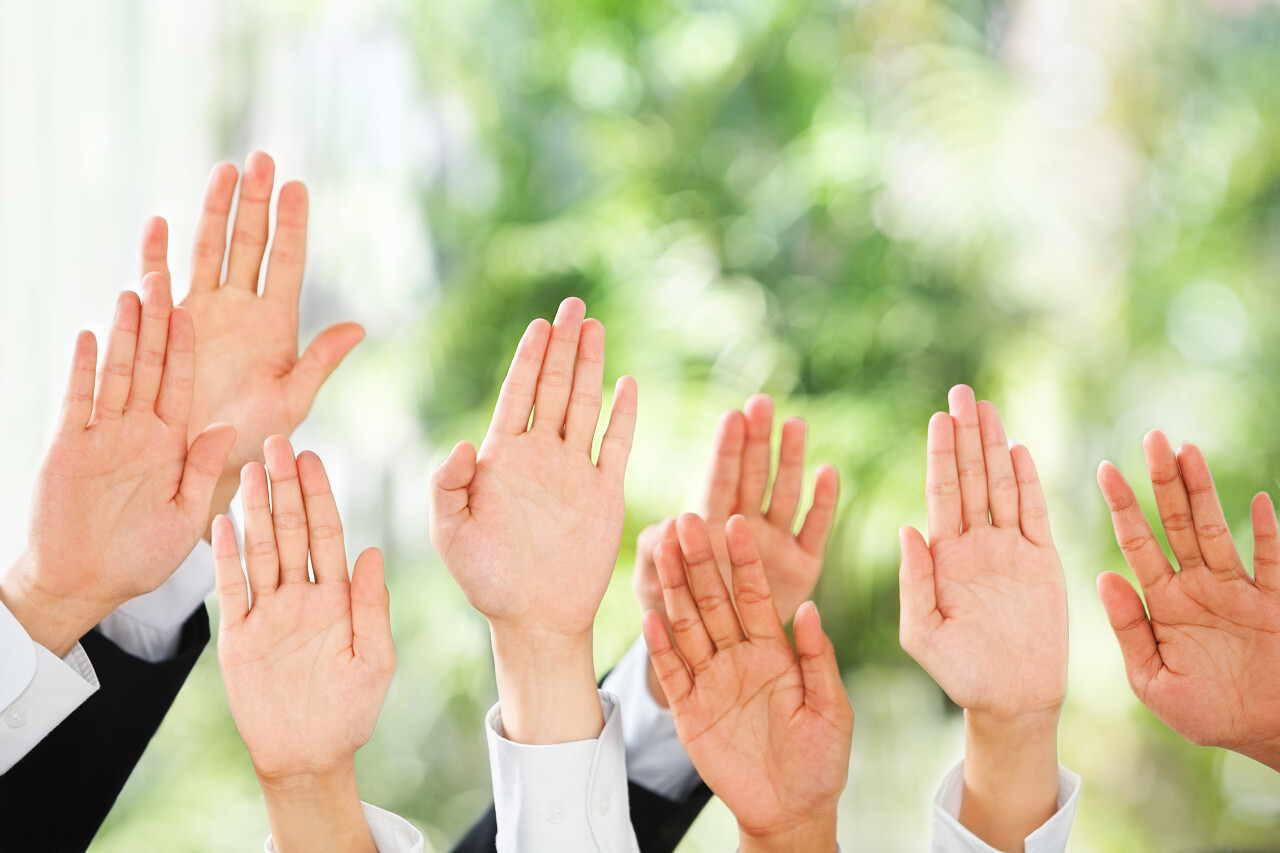 绿色背景上的投标拍卖中