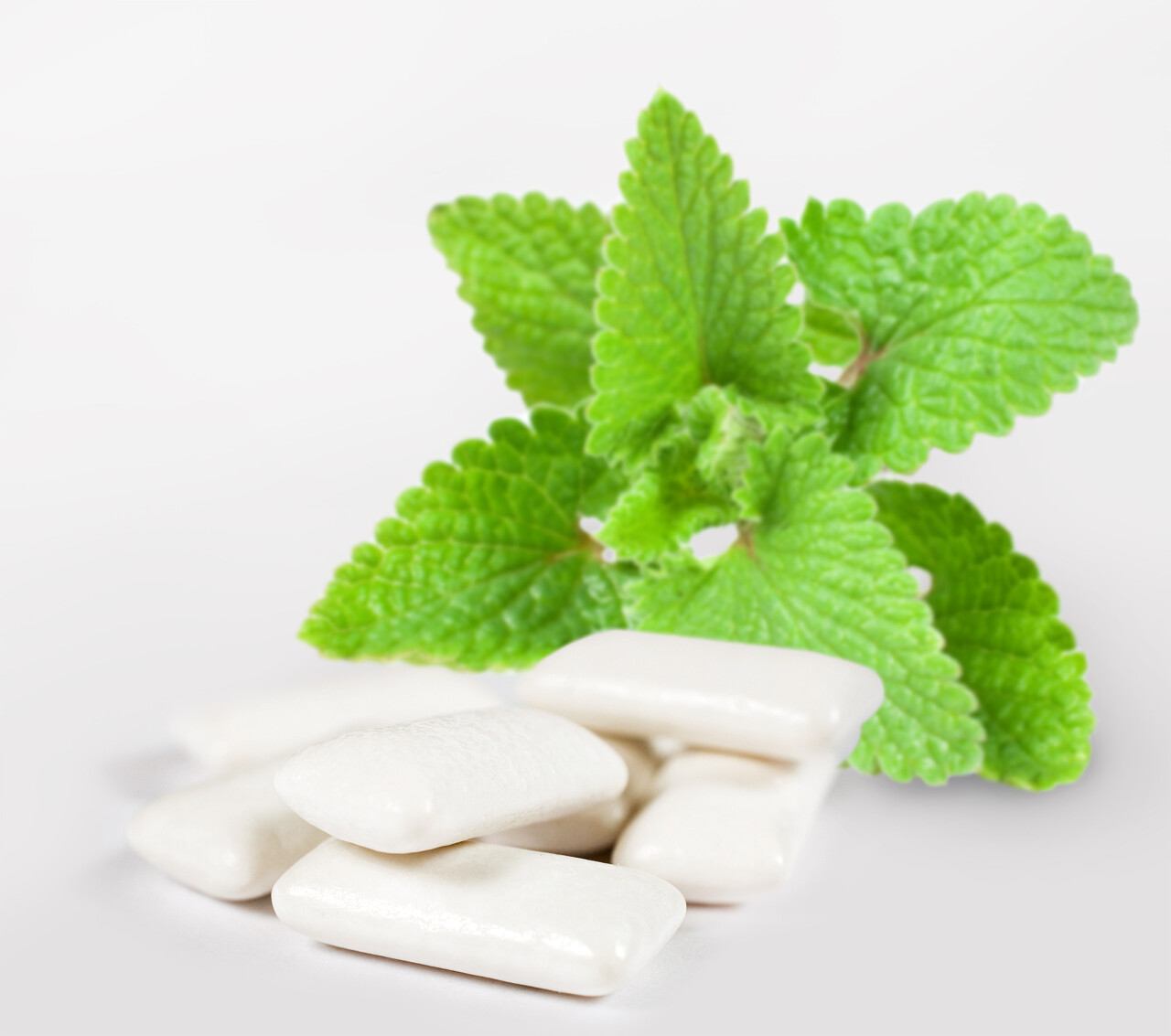 薄荷边上的口香糖