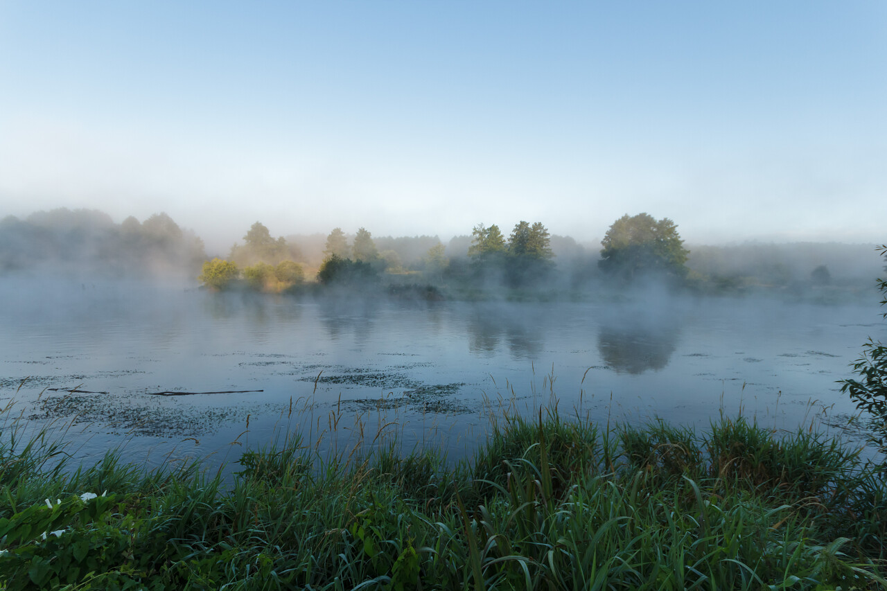 晨雾在湖自然系列湿地沼泽湿地日