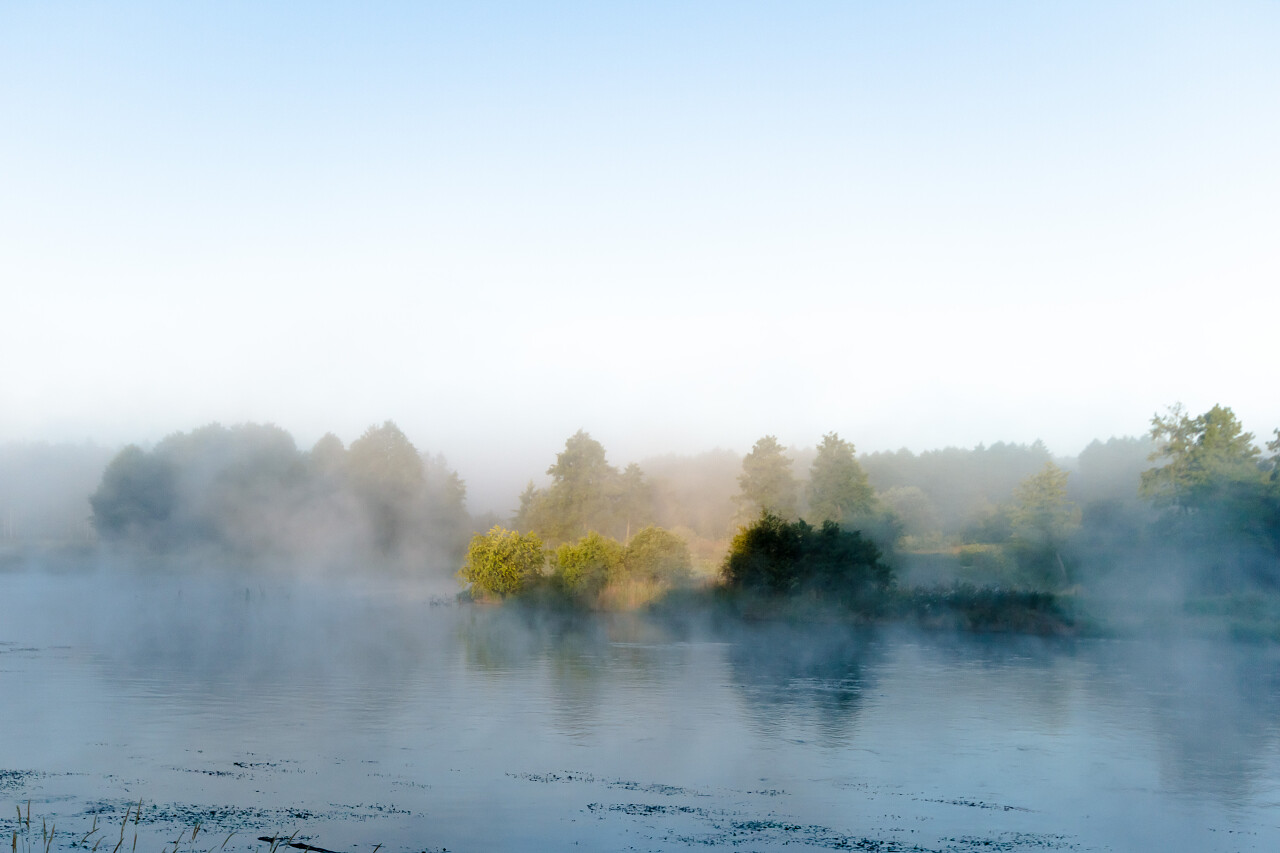 晨雾在湖自然系列湿地沼泽湿地日