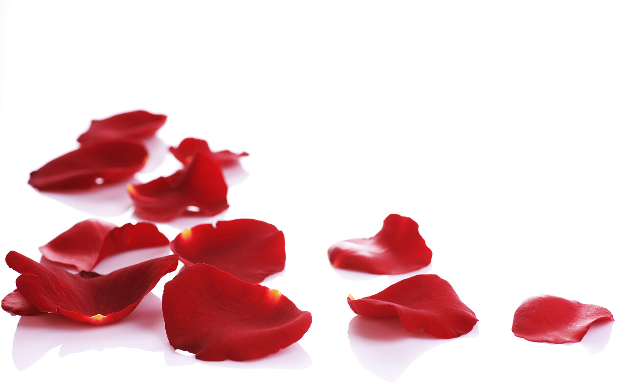 玫瑰花瓣边框七夕520情人节214情人节