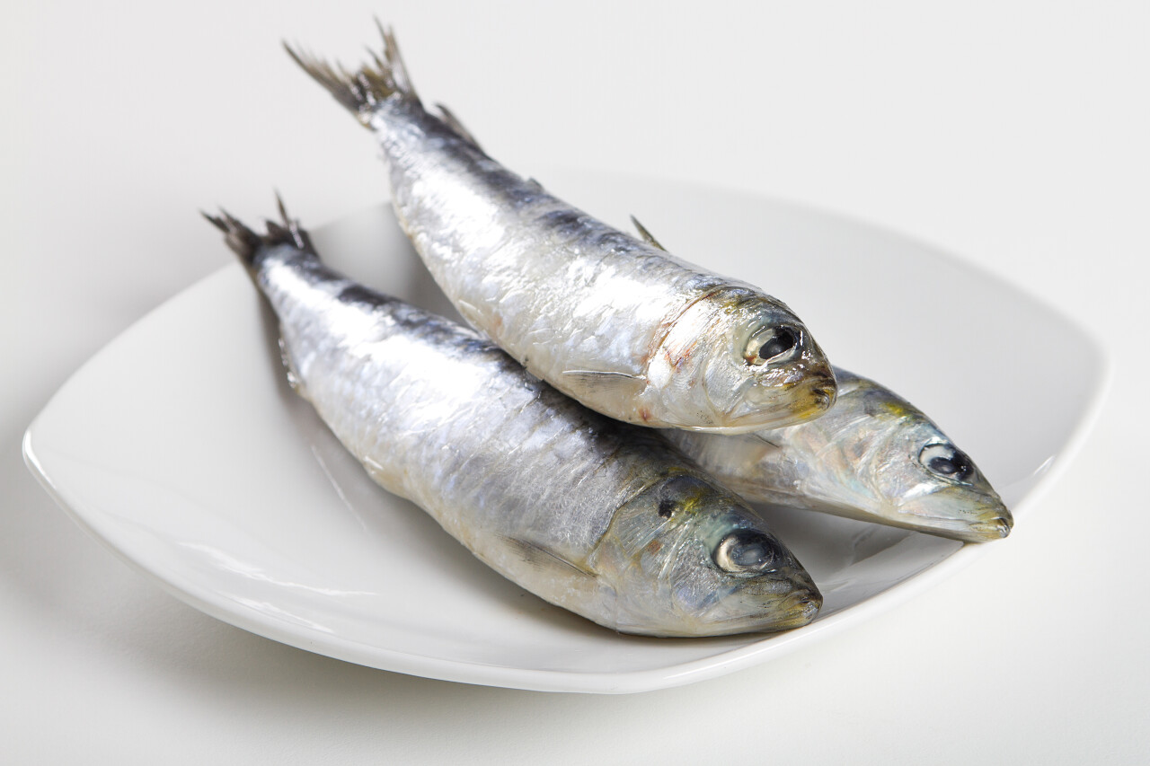 白底放在白色盘子里的三条少丁鱼
