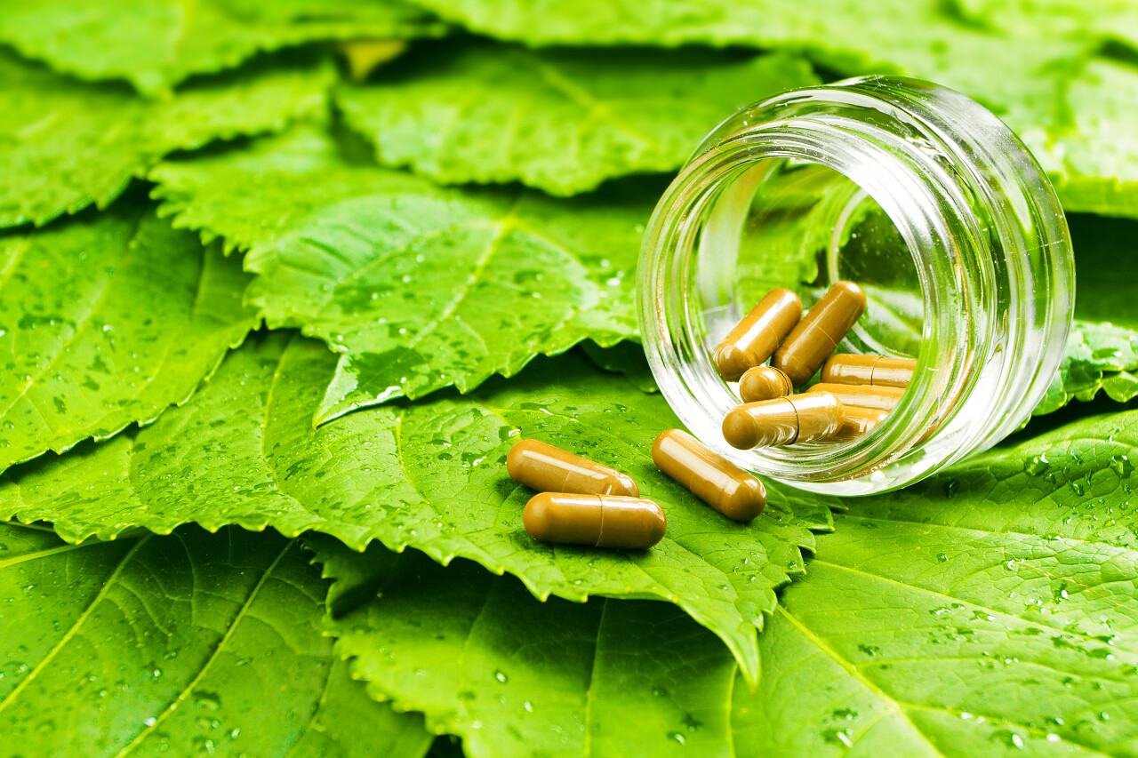 在绿色的树叶上的罐子里的药