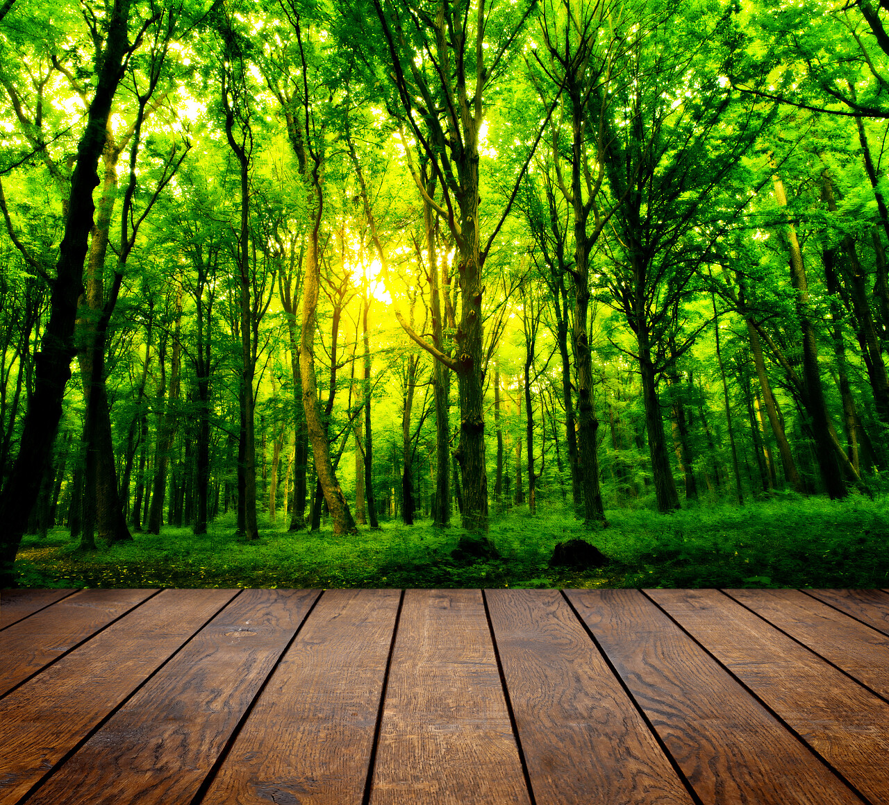 树林里木质地板纹理