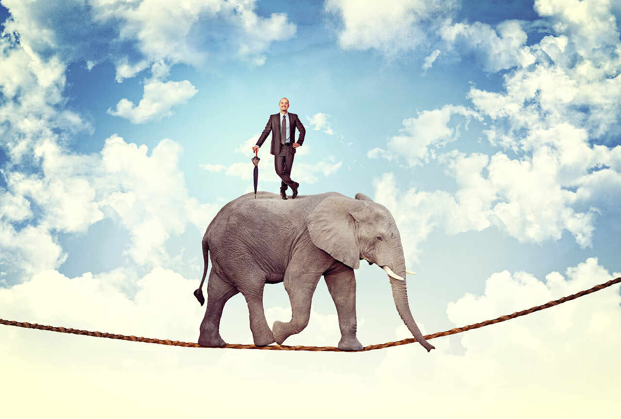 一张站在走绳子的大象上面男子创意合成图