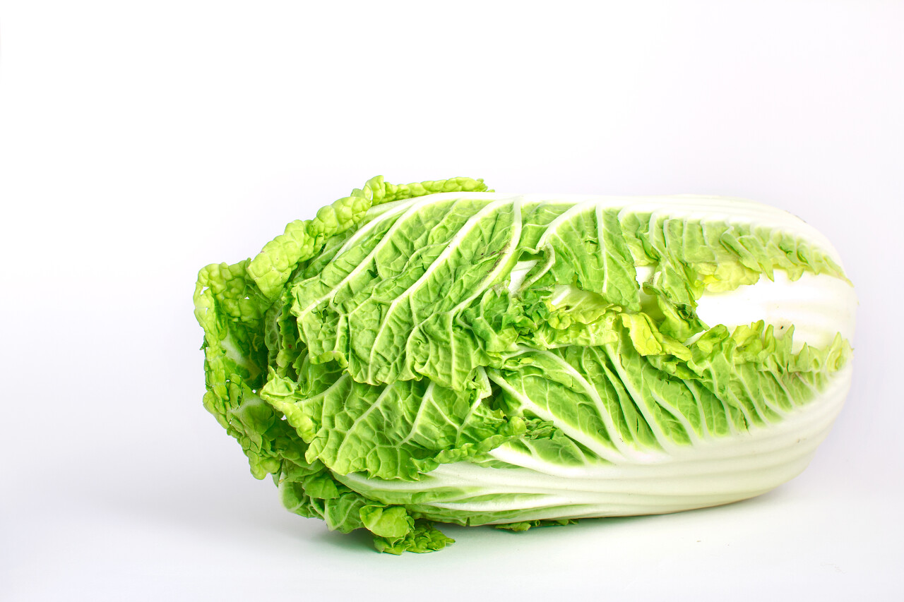 白底白菜大白菜新鲜蔬菜