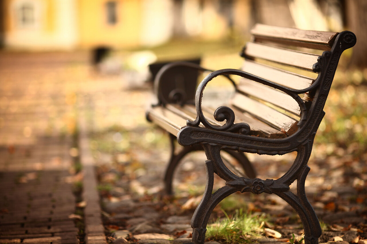 秋天公园的长椅