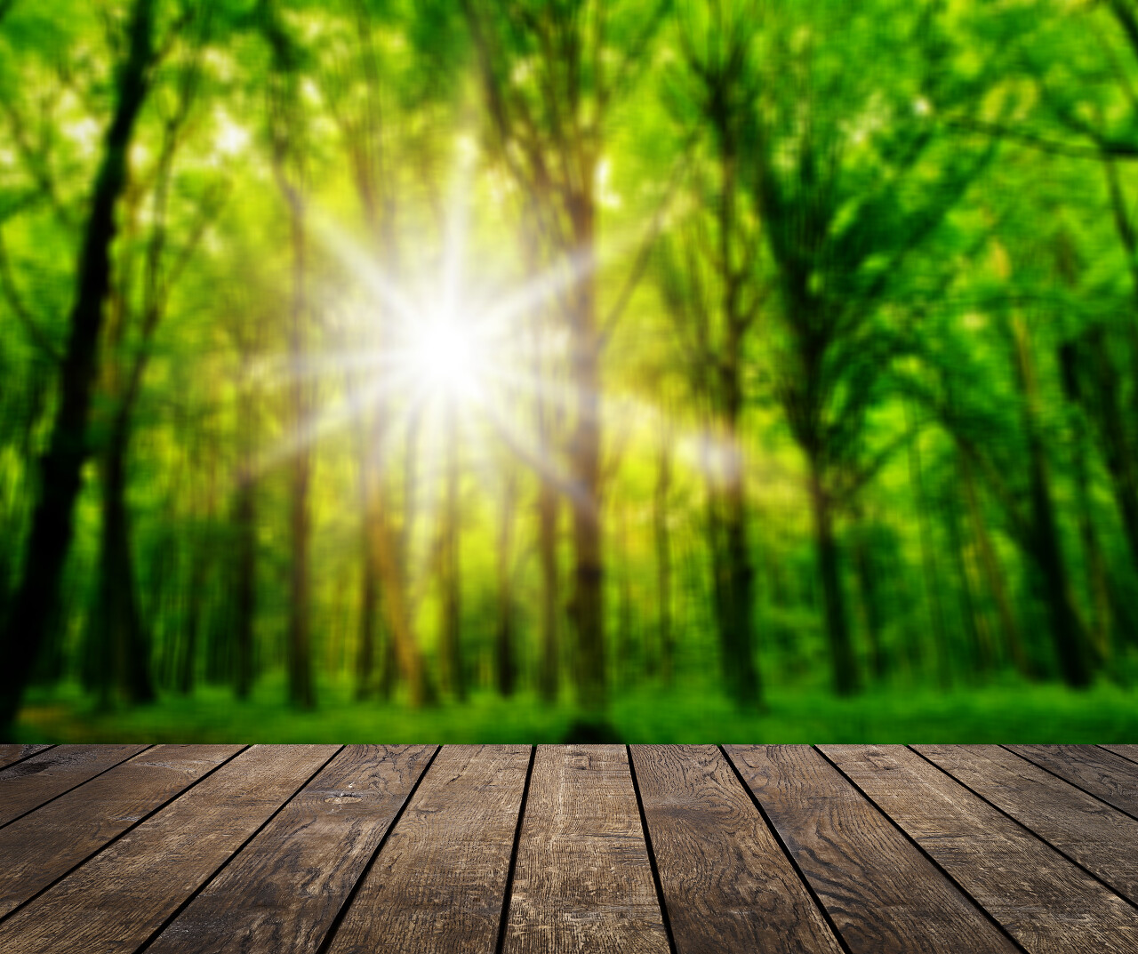 在室外森林背景上的木材纹理的背景