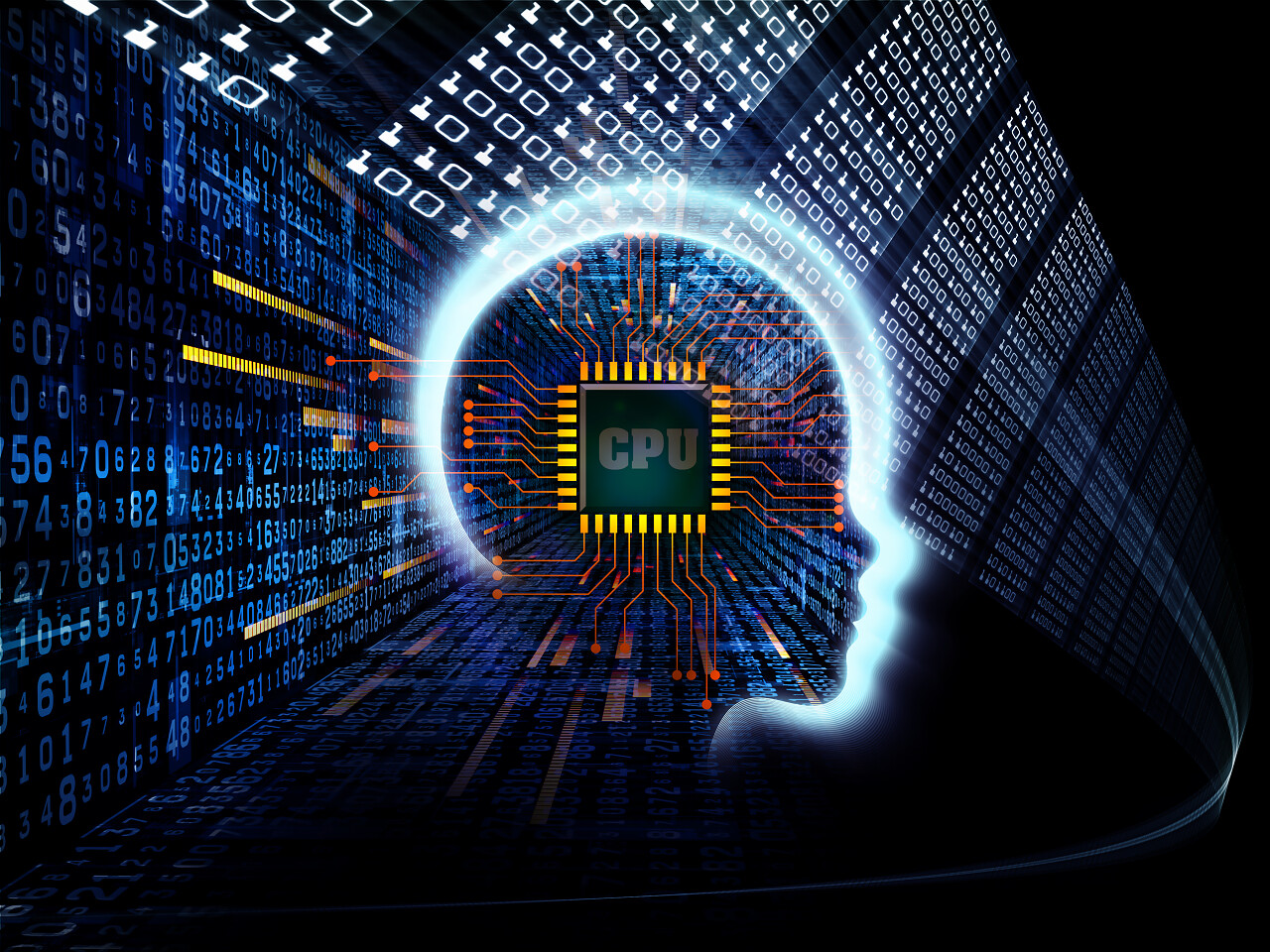 设计而成的人体头部和符号元素的大纲作为项目的背景与相关的知识 科学 技术和教育思维大脑思考