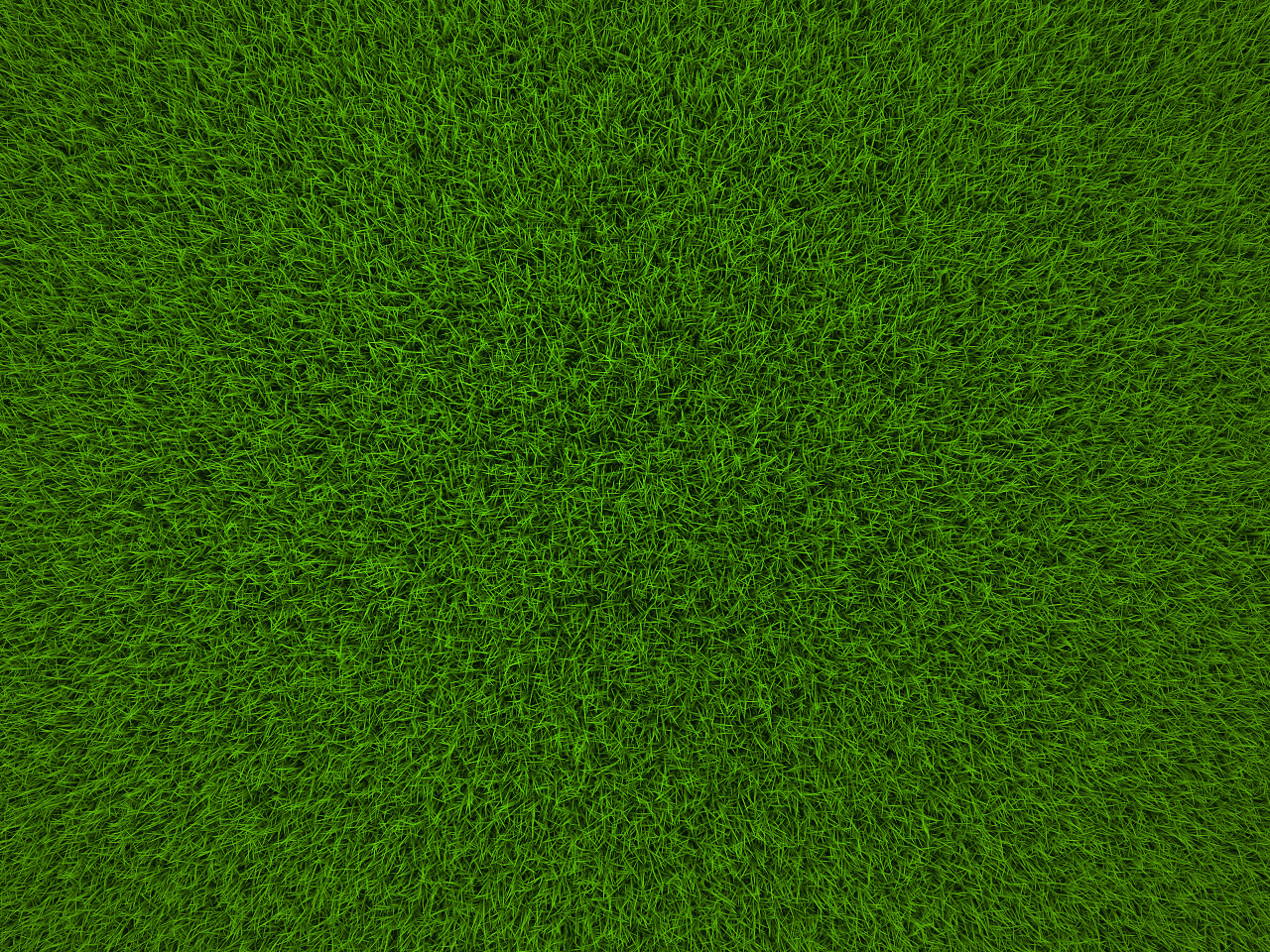绿草纹理