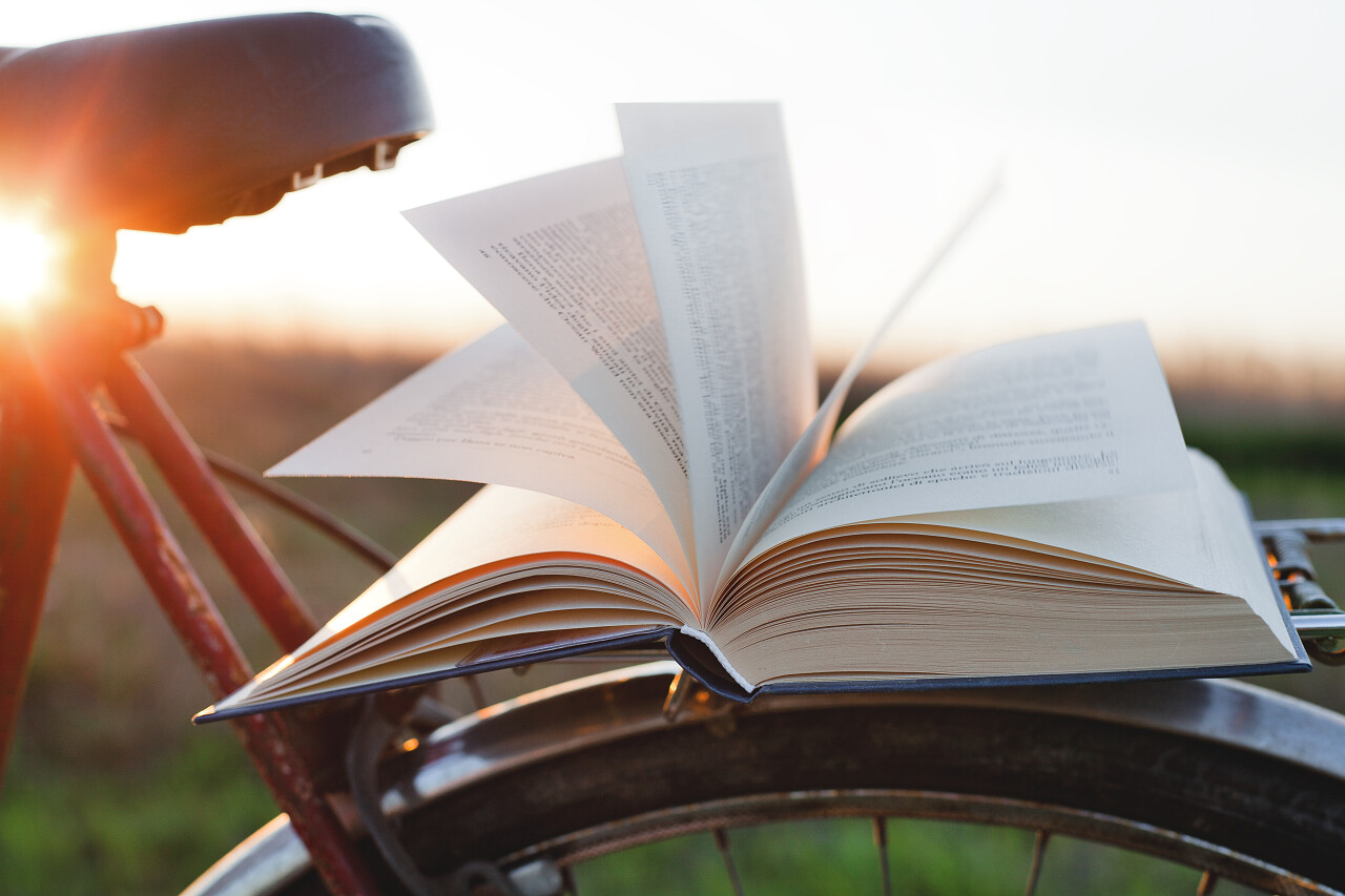 读一本书户外放松放松读书分相会阅读世界读书日