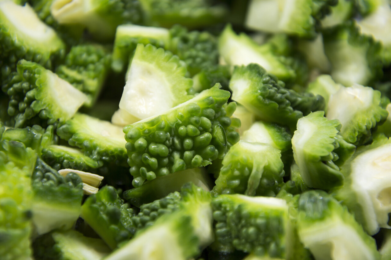 二十四节气夏至24节气苦瓜切成碎片绿色和黄颜色的对象