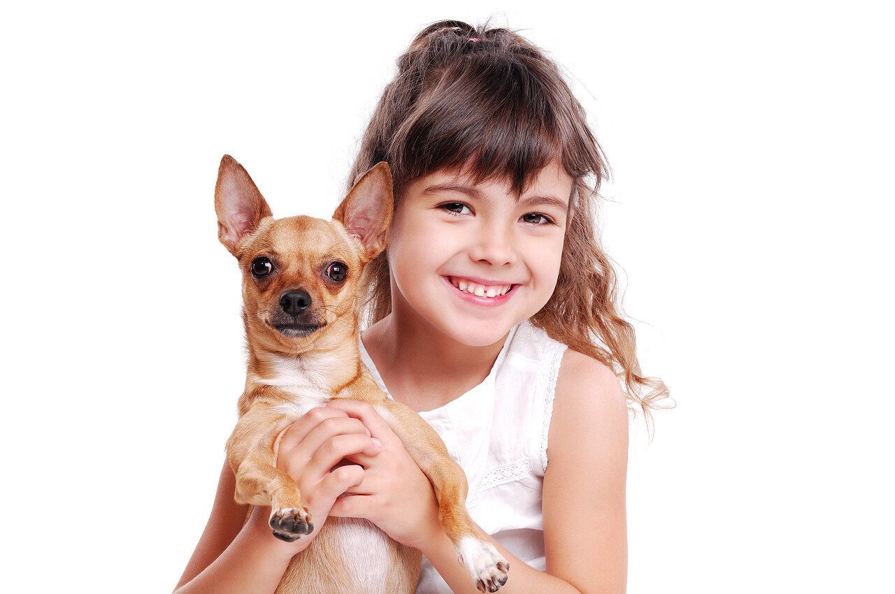 快乐的女孩举起她的宠物狗