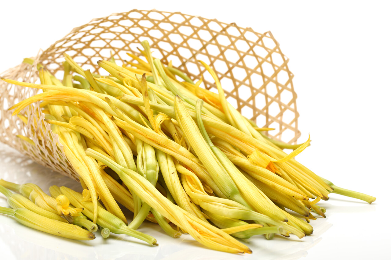 竹篱里的黄花菜