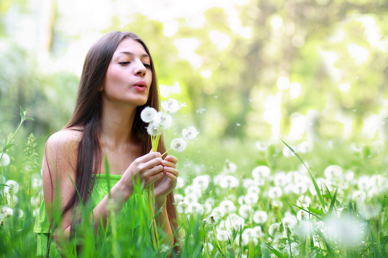 美女在吹蒲公英