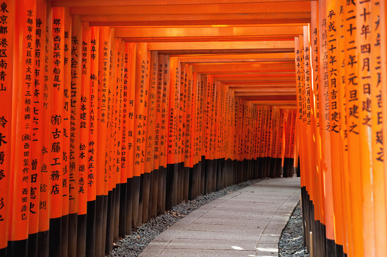 红托里门在伏见神社在京都日本日本旅游