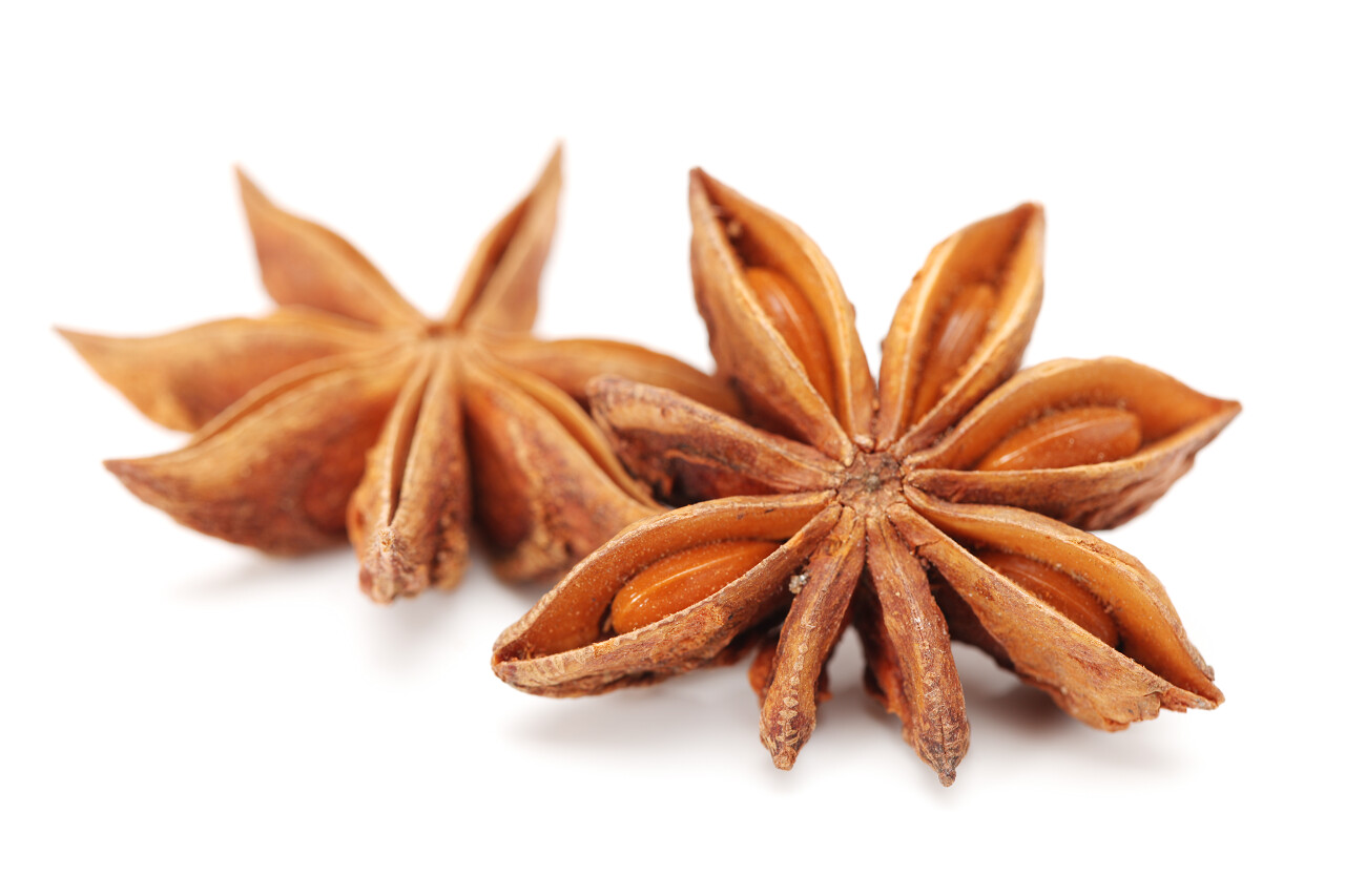 在白色背景上孤立的星形茴香