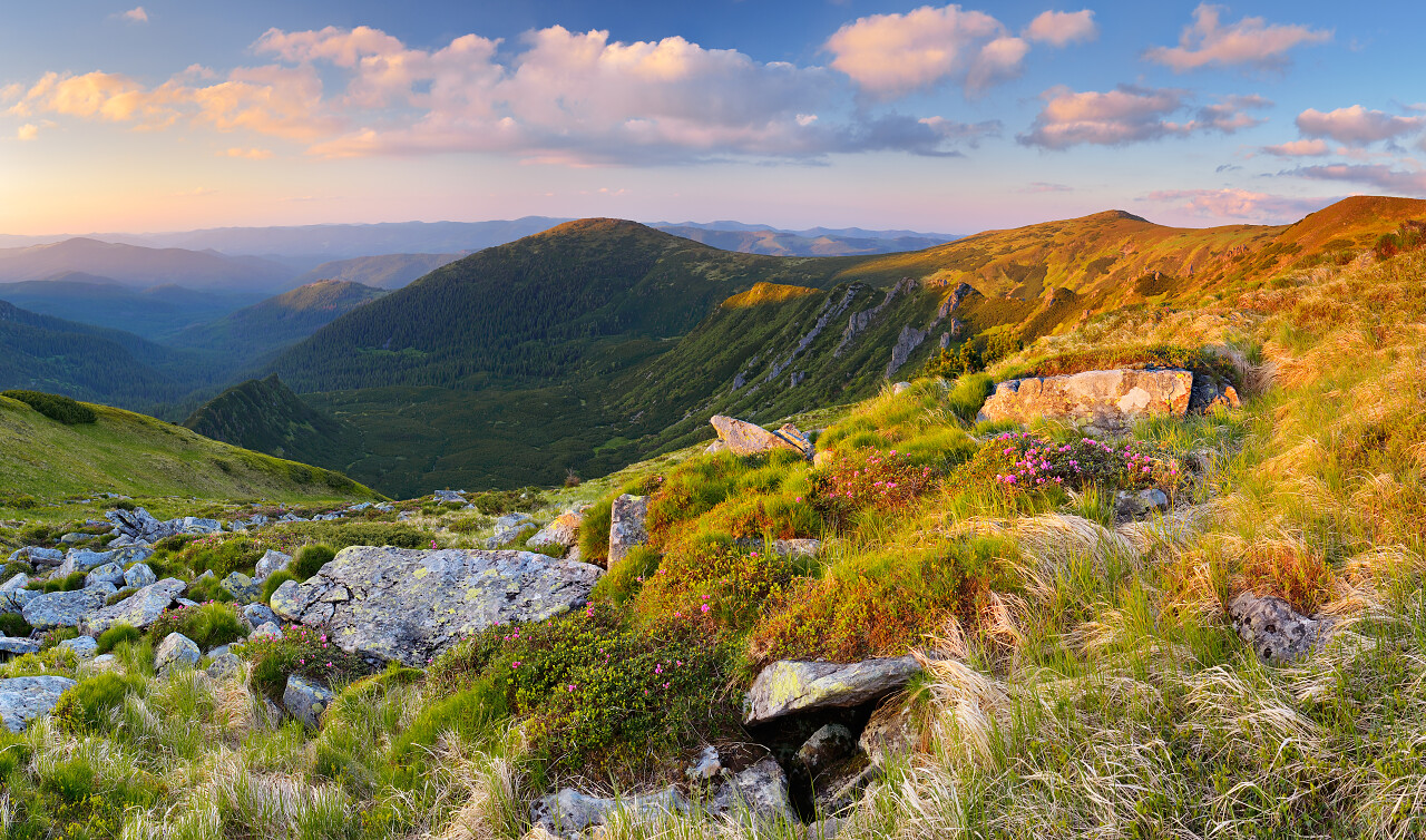 在一个阳光明媚的早晨在山上的多彩景观喀尔巴阡乌克兰