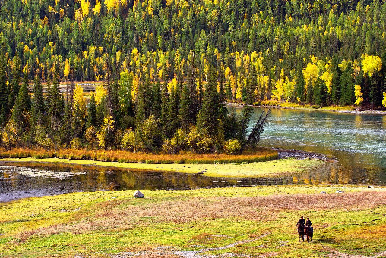 喀纳斯湖边骑着马湿地沼泽湿地日