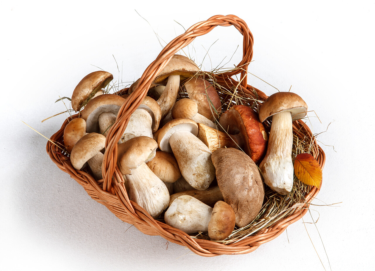 篮子里的蘑菇白色背景