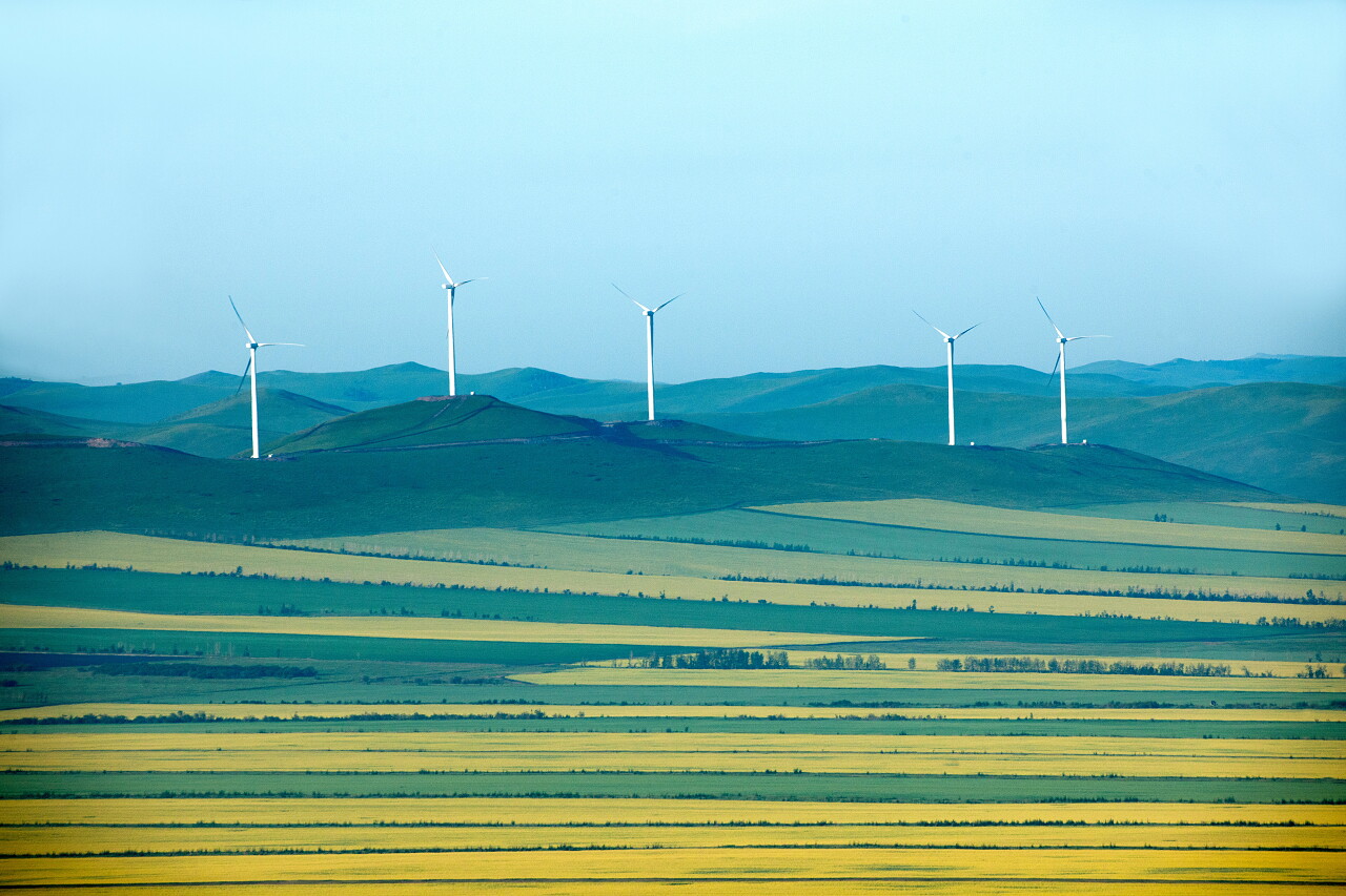 呼伦贝尔大草原内蒙古呼伦贝尔额尔古纳根河湿地边双低油菜籽字段内蒙古旅游新能源发电