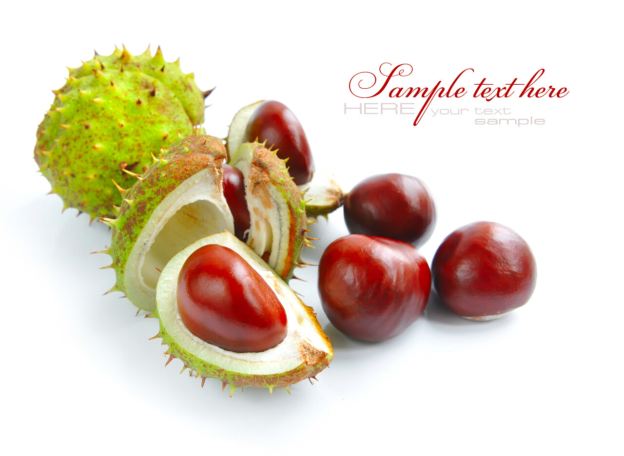 在白色背景上地壳与栗子