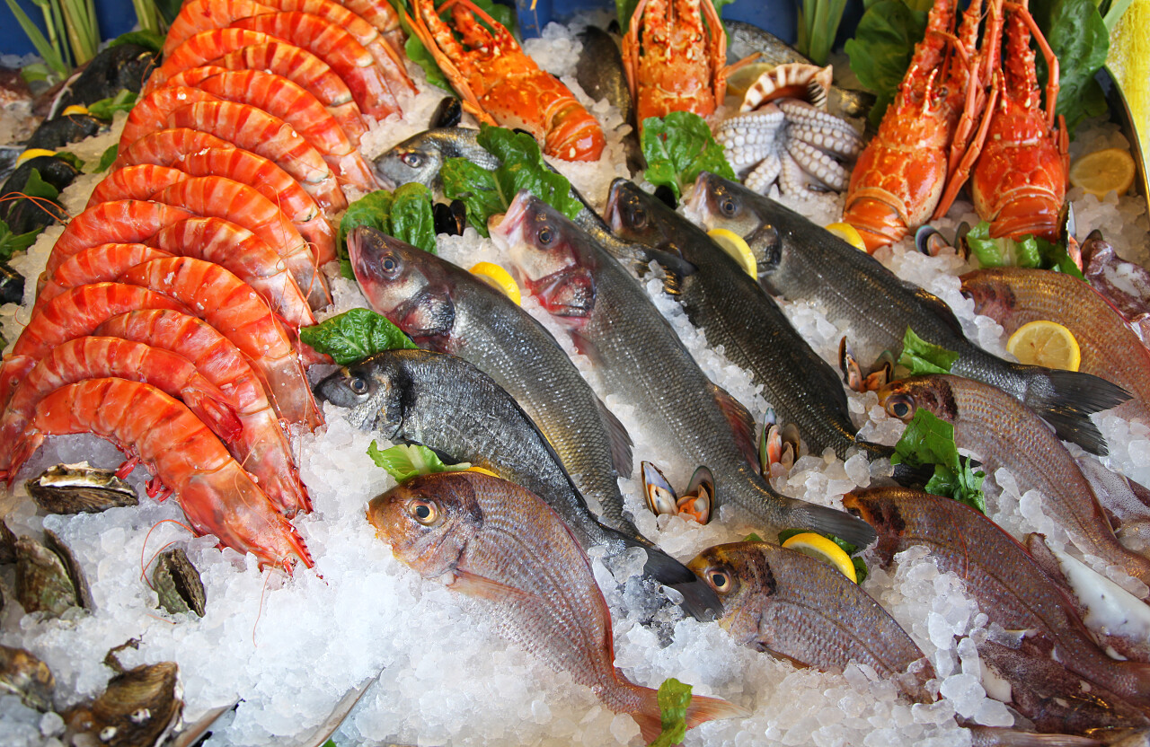 冷冻的海鲜餐厅乘