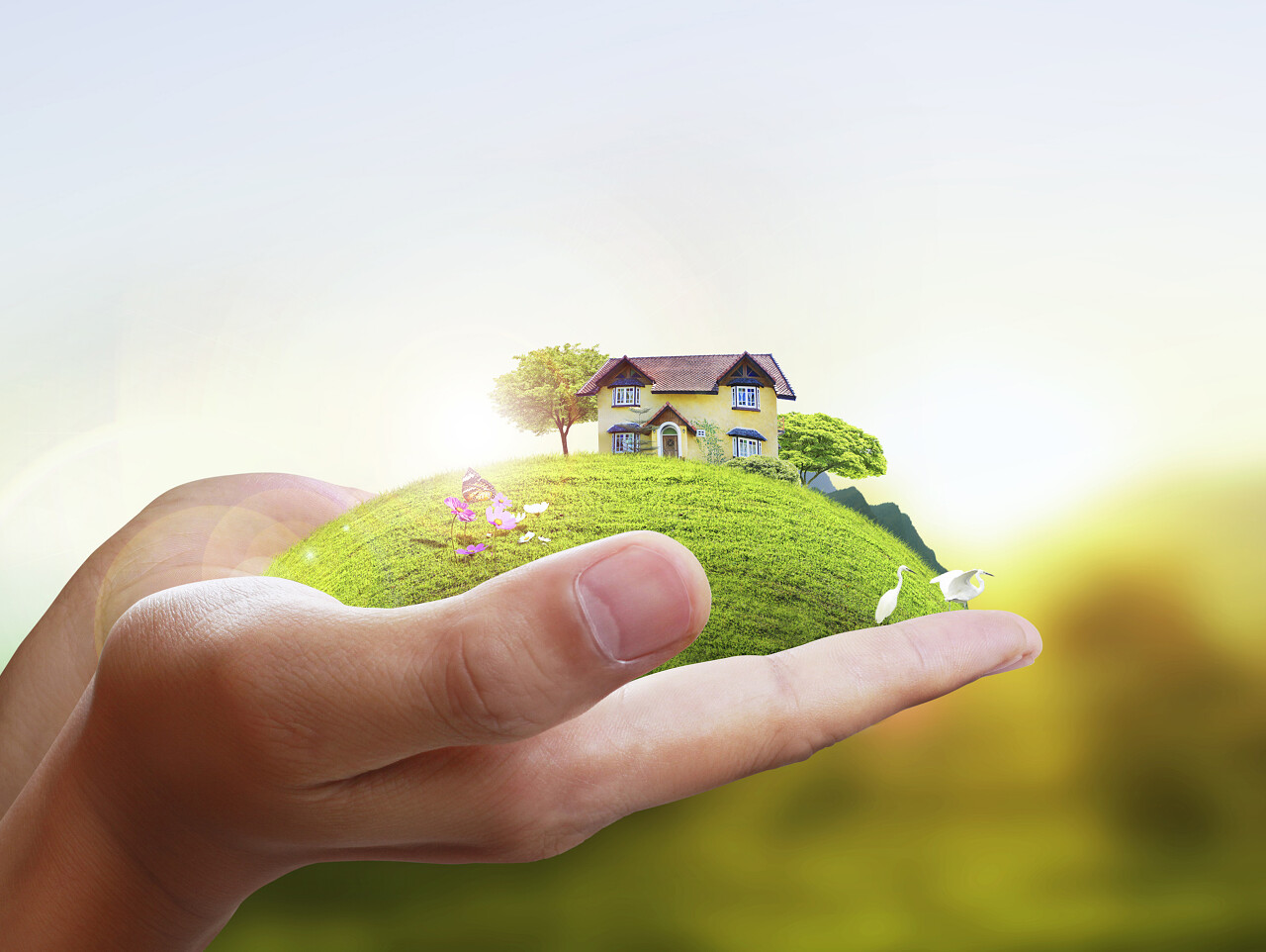 在人类手中的业务人房子世界卫生日