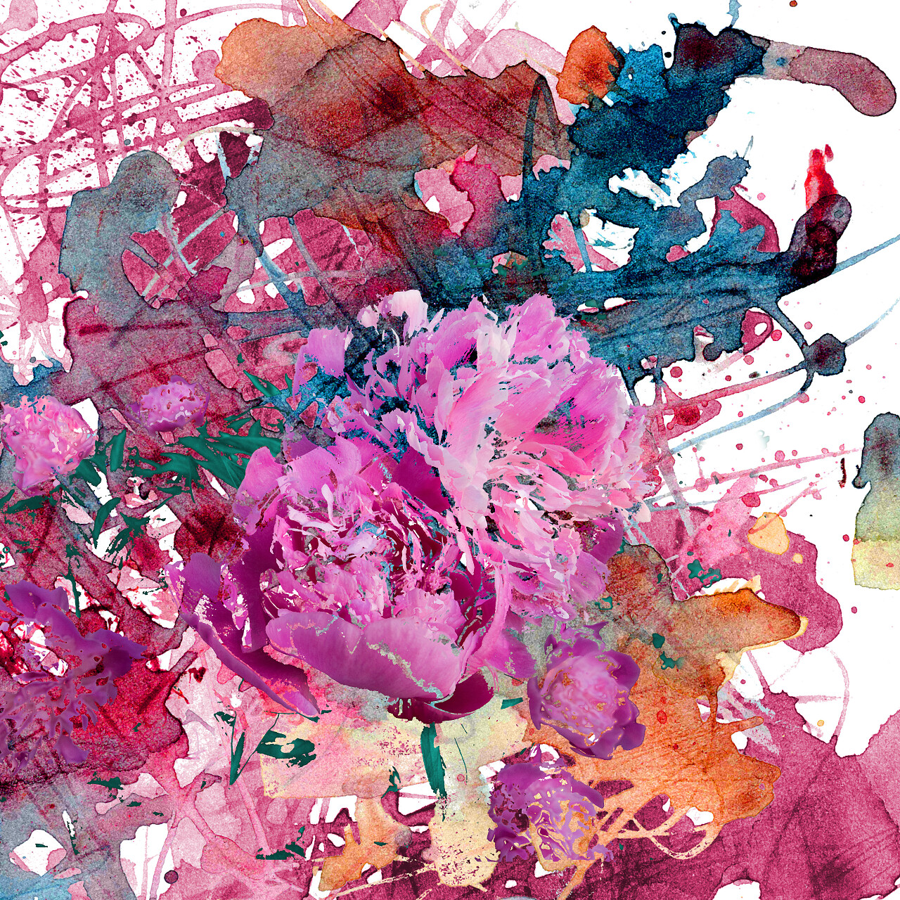 抽象背景与牡丹 水彩绘画