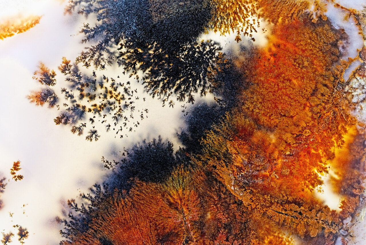 枝晶微晶内苔藓玛瑙宏