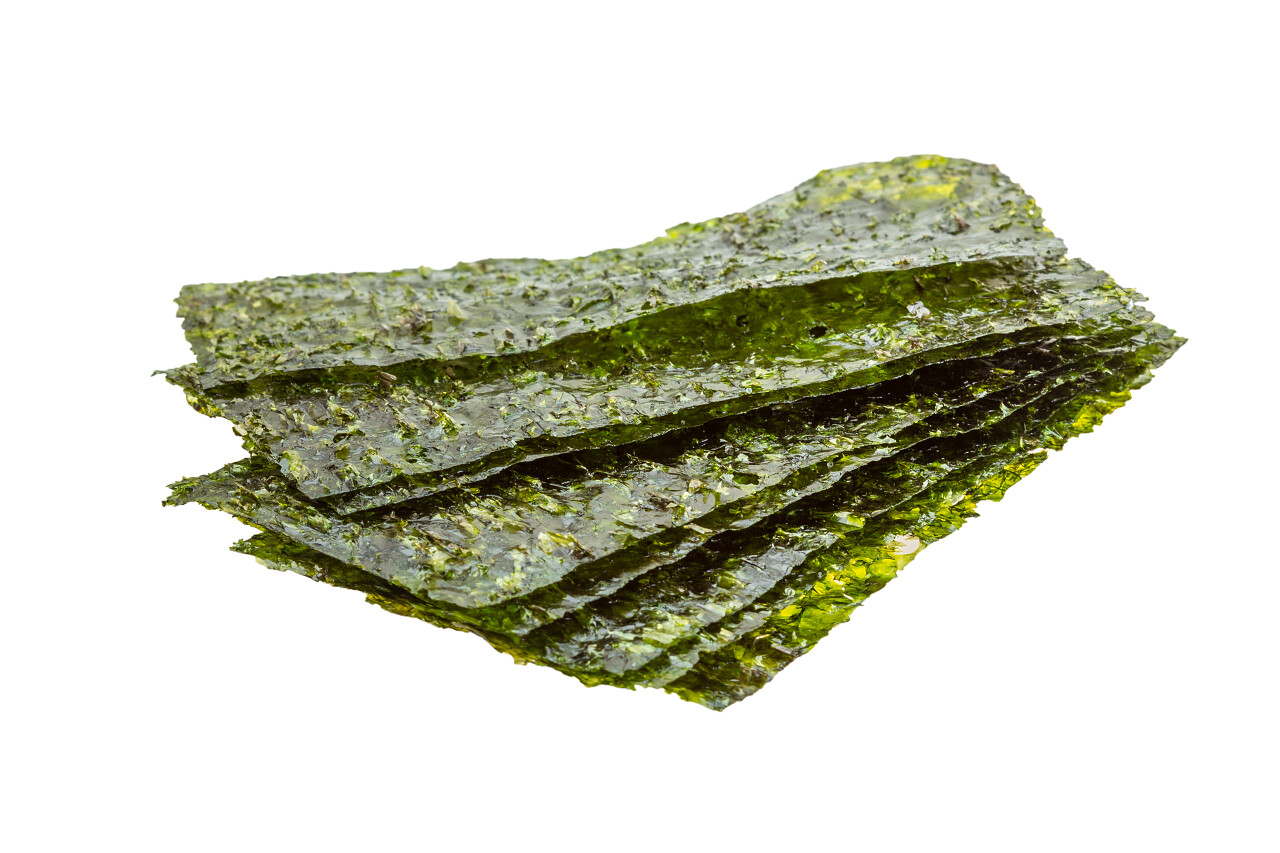 紫菜海苔