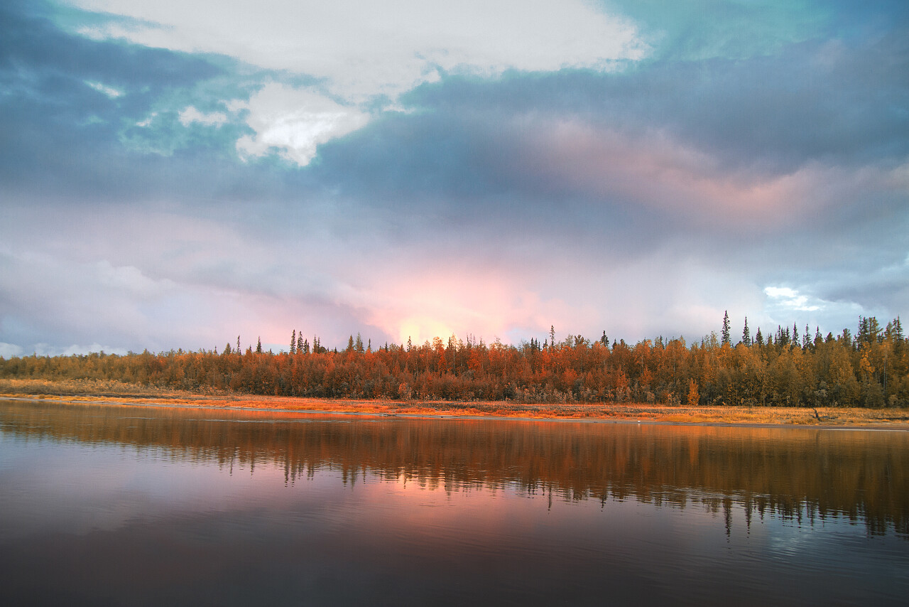 秋天河边的树木