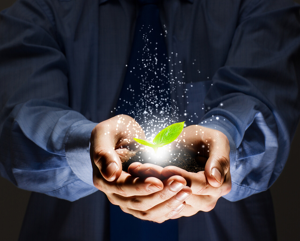 手捧绿叶的男人渲染图