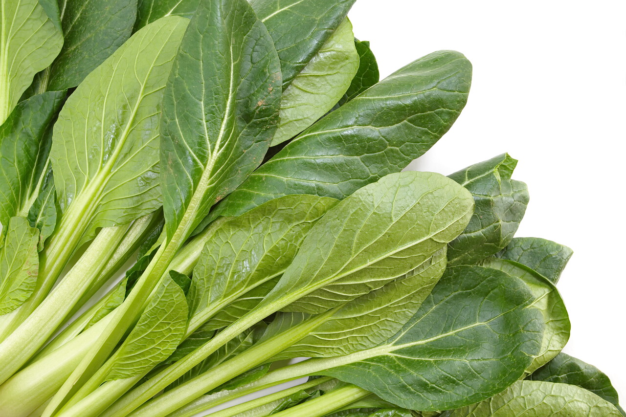 新鲜的菠菜叶子