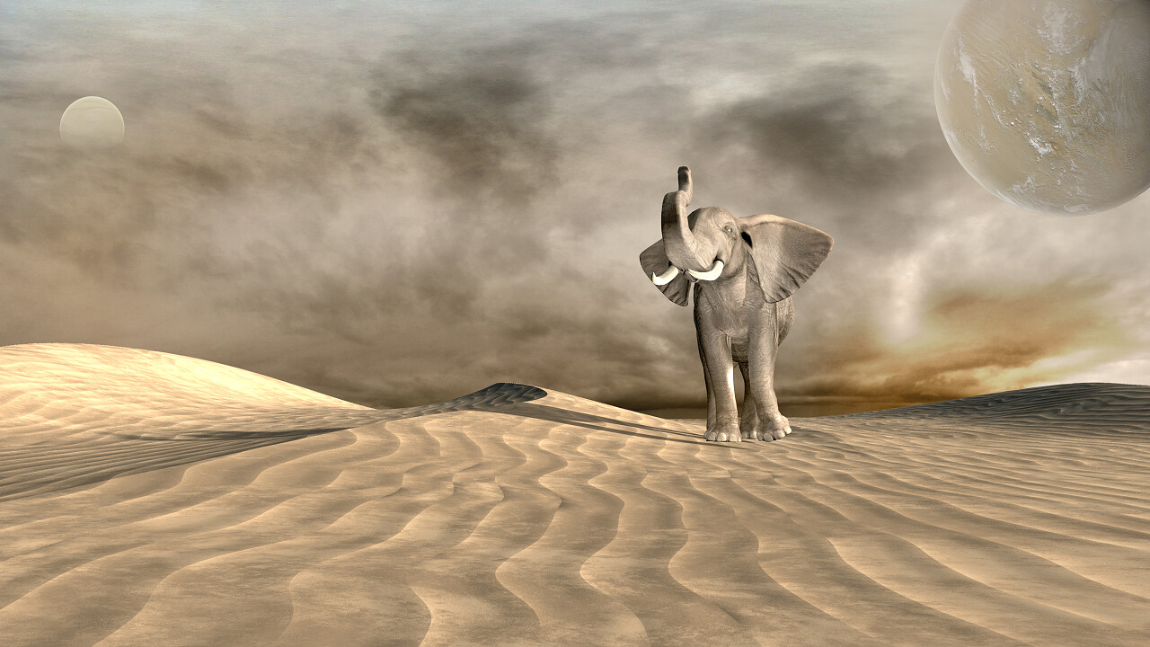 大象与沙尘暴