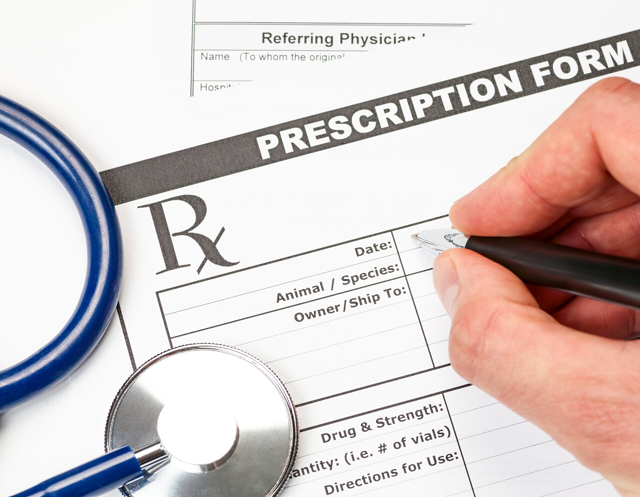 手持笔在空白处方填写宠物医生